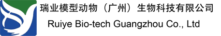瑞业模型动物中心