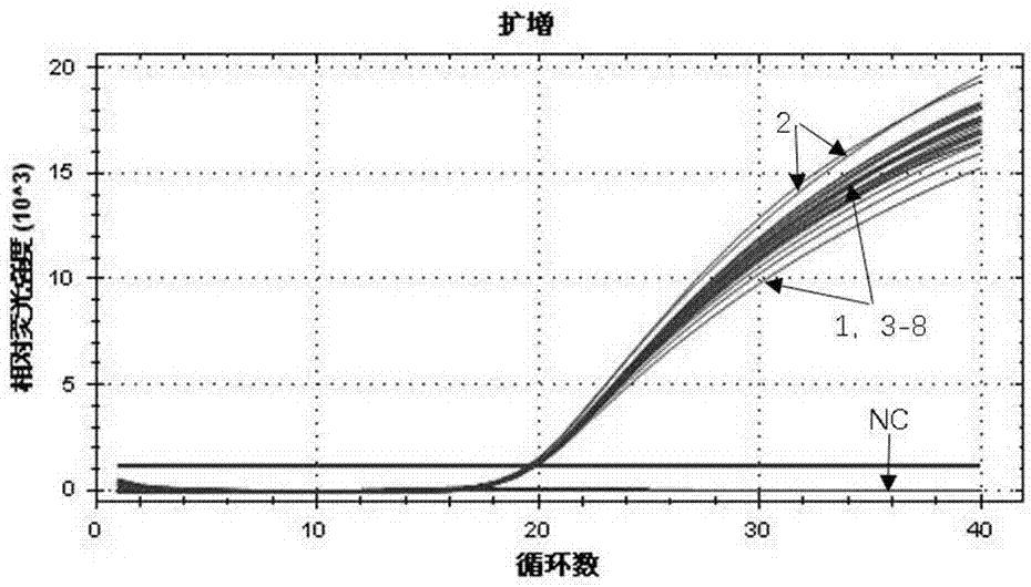 Real Time-qPCR
